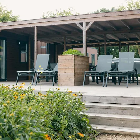 Groepsvakantie Op De Veluwe - 4 Losse Voor 24 Personen Op De Boshoek *