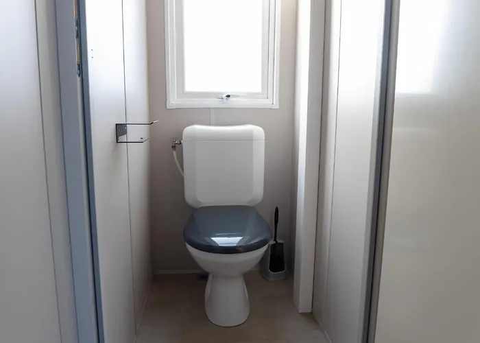 Groepsvakantie Op De Veluwe - 4 Losse Voor 24 Personen Op De Boshoek Voorthuizen