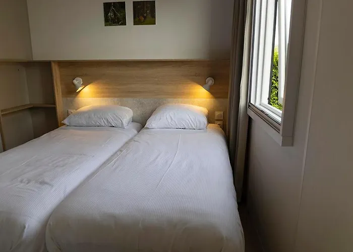 Groepsvakantie Op De Veluwe - 4 Losse Voor 24 Personen Op De Boshoek *