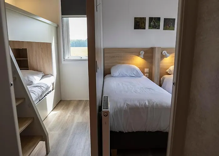 Groepsvakantie Op De Veluwe - 4 Losse Voor 24 Personen Op De Boshoek Dom wakacyjny Voorthuizen