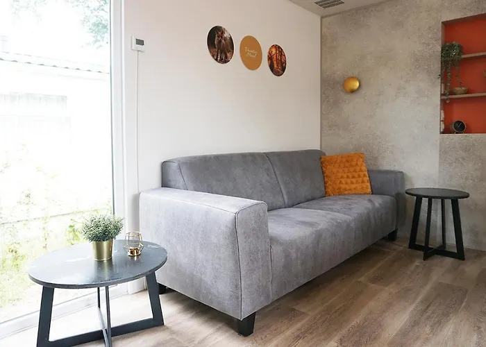 Groepsvakantie Op De Veluwe - 4 Losse Voor 24 Personen Op De Boshoek Voorthuizen