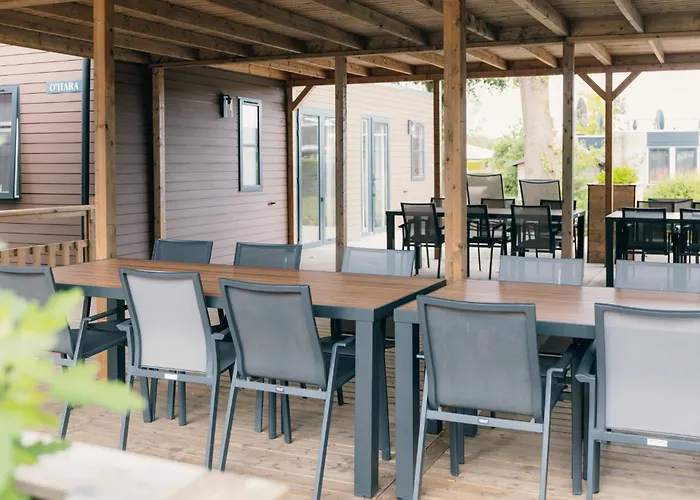 Groepsvakantie Op De Veluwe - 4 Losse Voor 24 Personen Op De Boshoek