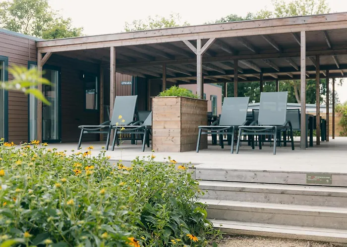 Groepsvakantie Op De Veluwe - 4 Losse Voor 24 Personen Op De Boshoek *